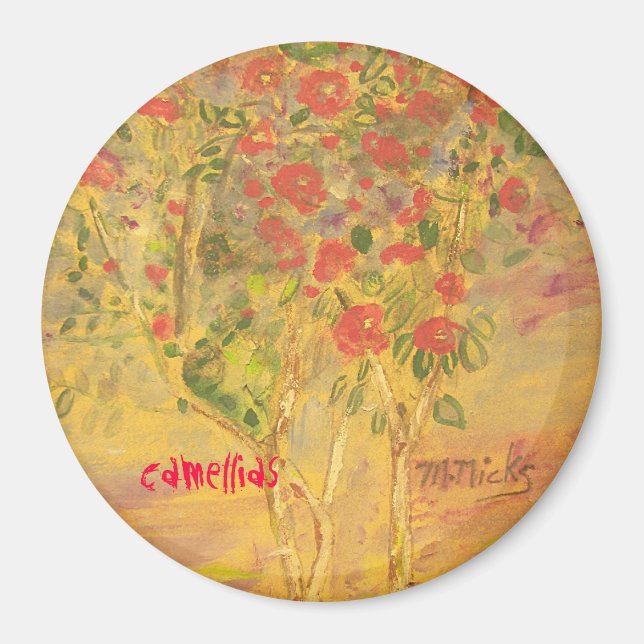 videoklipp magnet (Framsidan)