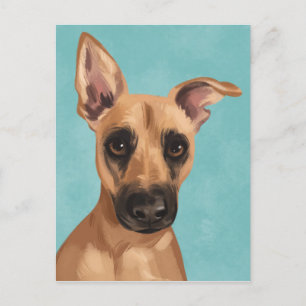 Vidga vykortet Black Mouth Cur Vykort