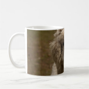 VIENNA WIEN ÖSTERREICH AUSTRIA ALPAKA LAMA ANIMAL KAFFEMUGG