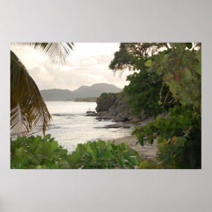 Vieques Puerto Rico Poster