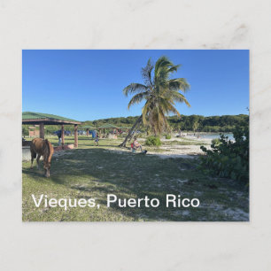 Vieques, Puerto Rico vykort