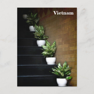 Vietnam Asien Gatufotografering Helg Vykort