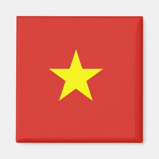 Vietnam flag magnet