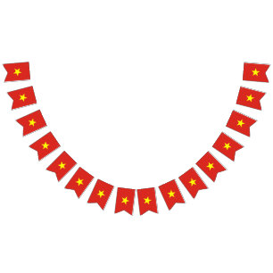 Vietnam flagga