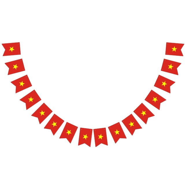 Vietnam flagga (Alla)