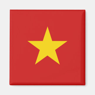 Vietnam Flagga Magnet