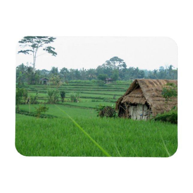 Vietnam liggande magnet (Horisontell)