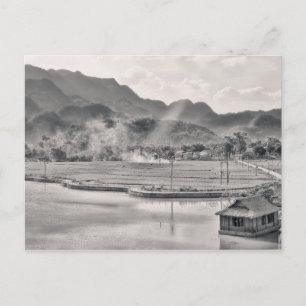 Vietnam liggande vykort