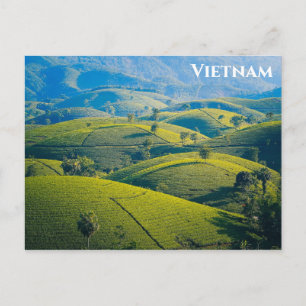 Vietnam Long Coc Teaberget Resebild Vykort