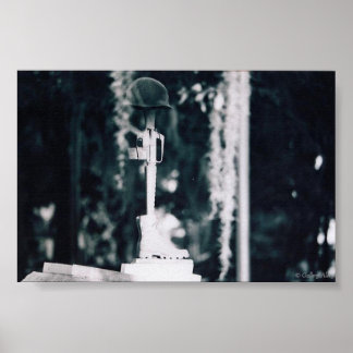 vietnam memorial savannah print poster