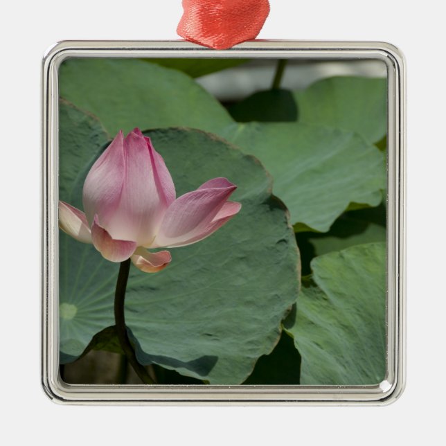 Vietnam, nära Saigon) My Tho. Vinh Trang 2 Julgransprydnad Metall (Framsidan)