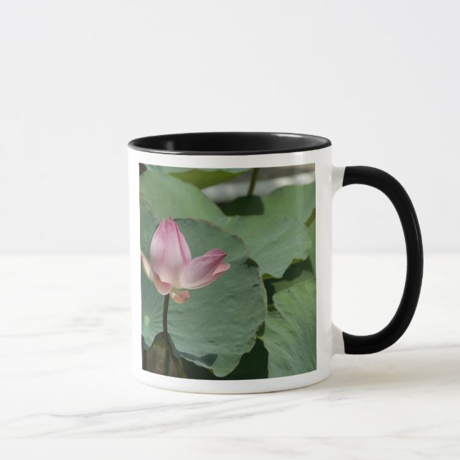 Vietnam, nära Saigon) My Tho. Vinh Trang 2 Mugg (Höger)