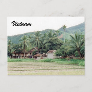 vietnam ris paddies vykort
