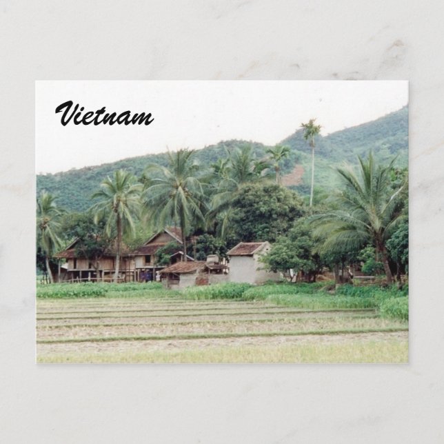 vietnam ris paddies vykort (Framsida)