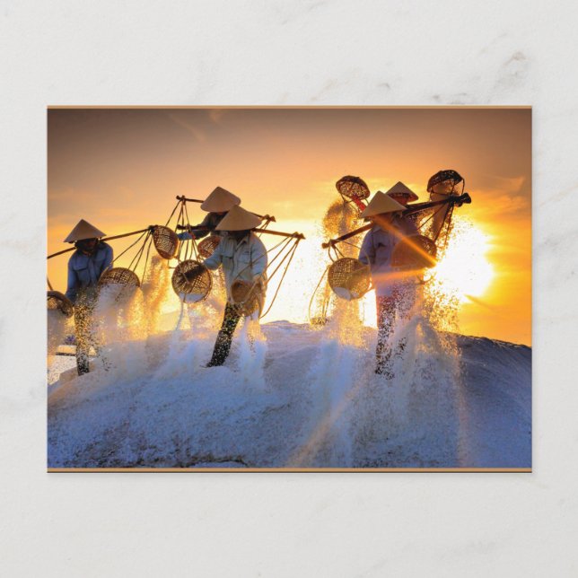 Vietnam Salt Fält Vykort (Framsida)