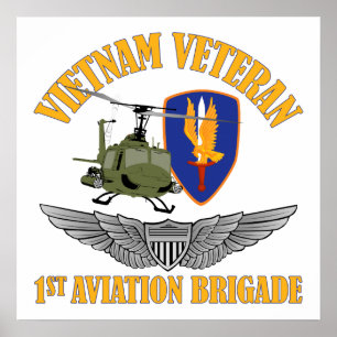 Vietnam Vet Aviator Vingar Poster