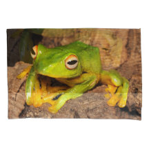 Vietnamesisk Svart-Simhudsförsedd glidninggroda