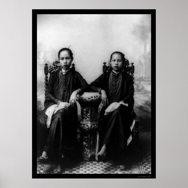 Vietnamesiska flickor 1903 poster (Framsidan)