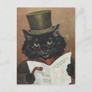 Vieux chatta journal vykort