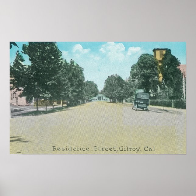 View of a Residence StreetGilroy, CA Poster (Framsidan)