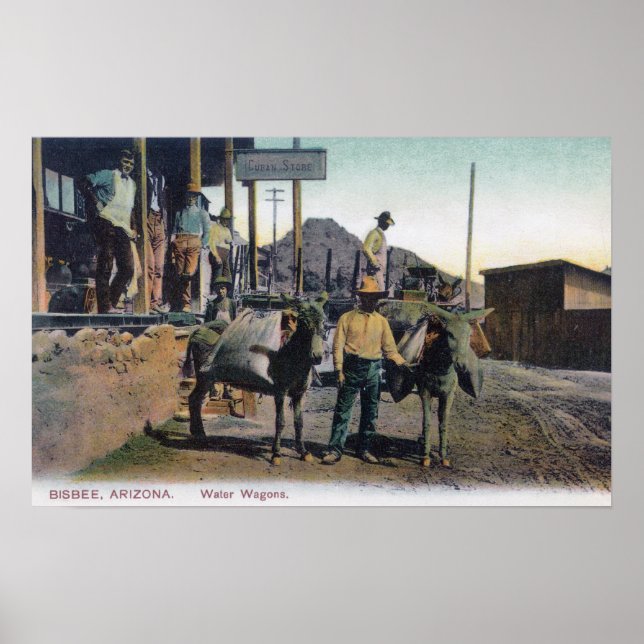 View of Donkey Carrying WaterBisbee, AZ Poster (Framsidan)