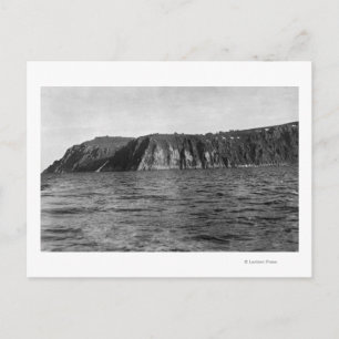 View of Kung ön, Alaska Photograph Vykort