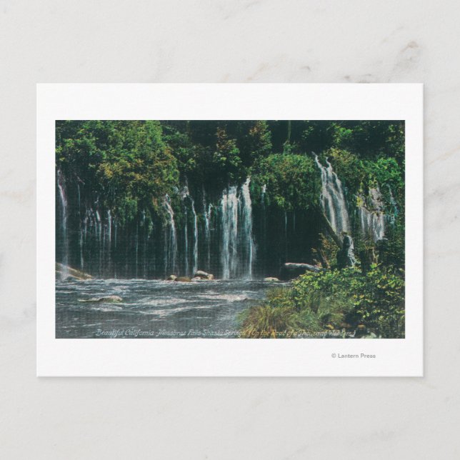 View of Mossbrae FallsShasta Vår, CA Vykort (Framsida)