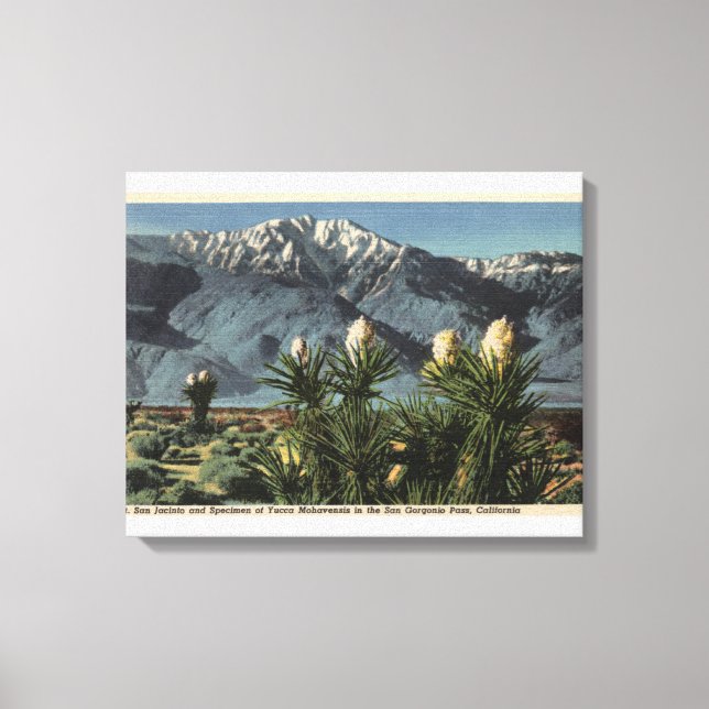 View of Mt. San Jacinto, Yucca Mohavensis Canvastryck (Framsida)