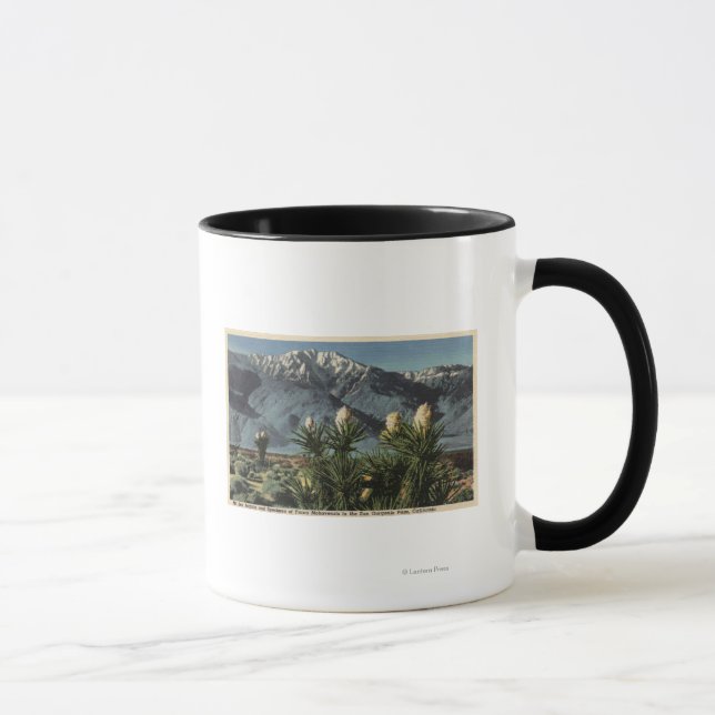View of Mt. San Jacinto, Yucca Mohavensis Mugg (Höger)
