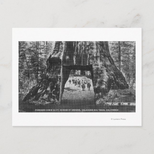 View of Pioneers Cabin, Manar on Horseback Vykort (Framsida)