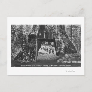 View of Pioneers Cabin, Manar on Horseback Vykort