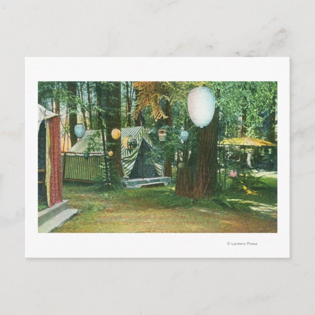 View of Scotts Camp, RedwoodRussian River, CA Vykort (Framsida)