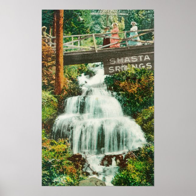 View of the Lower FallsShasta Vår, CA Poster (Framsidan)