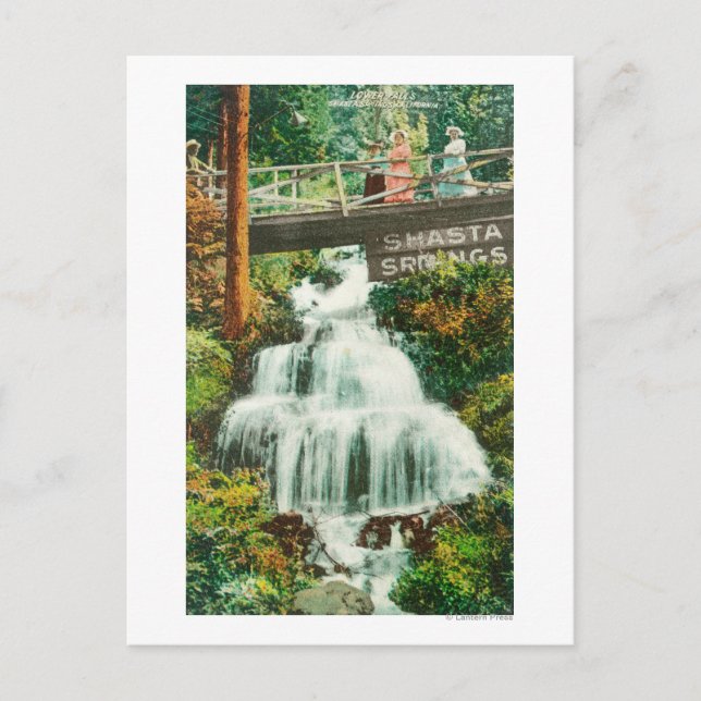 View of the Lower FallsShasta Vår, CA Vykort (Framsida)