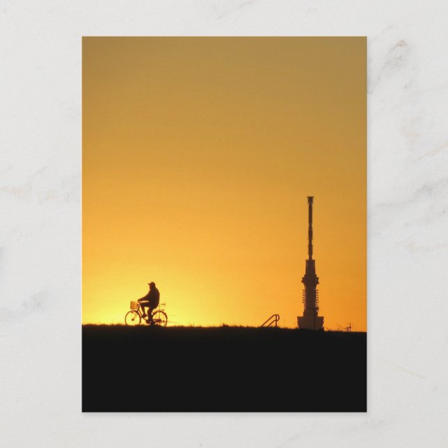 View of Tokyo Skytree: Edogawa Riverbank Postcard Vykort (Framsida)