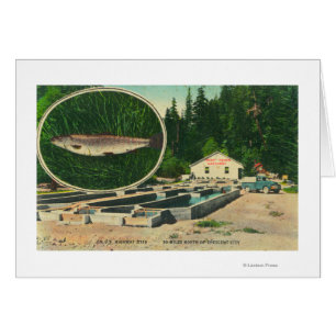View of Trout Haven HatcheryGasquet, CA Hälsningskort