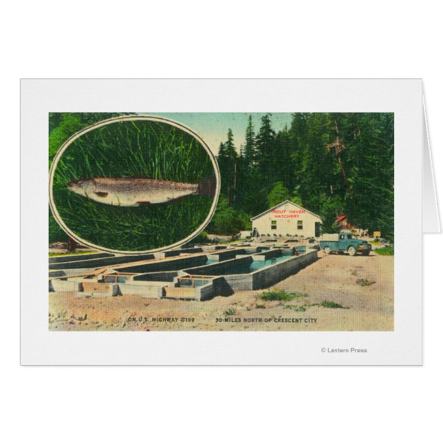 View of Trout Haven HatcheryGasquet, CA Hälsningskort (Framsidan Horizontal)