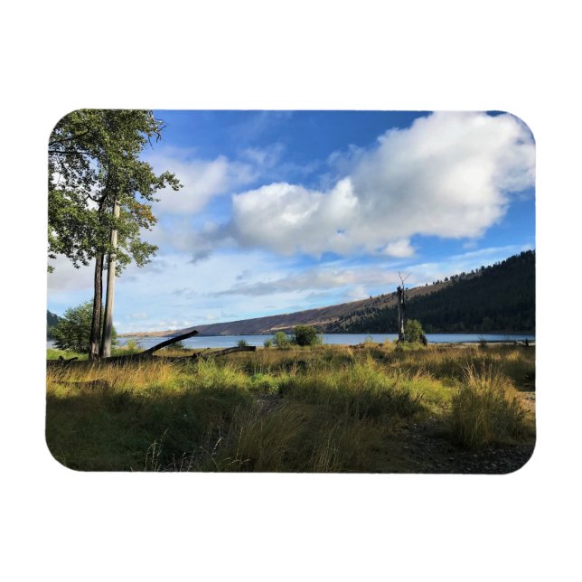 View of Wallowa Sjö, Oregon Magnet (Horisontell)