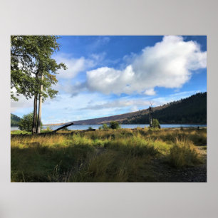 View of Wallowa Sjö, Oregon Poster