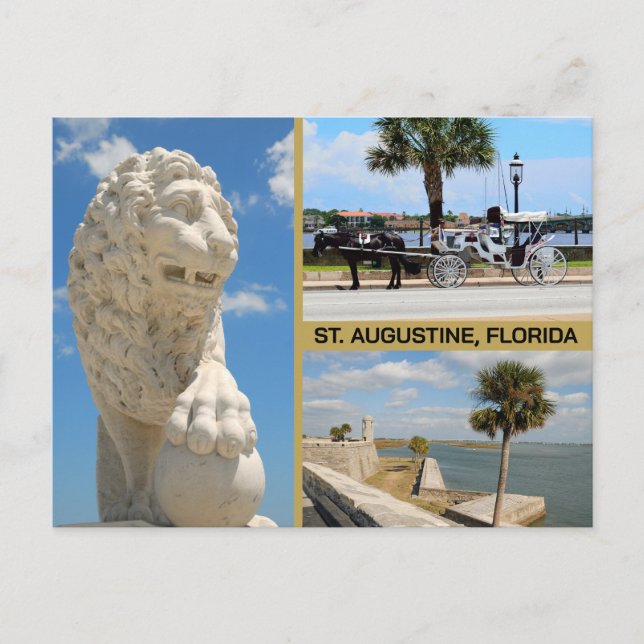 Views of St. Augustine, Florida Vykort (Framsida)