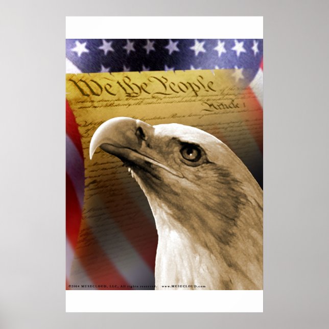 Vigilance Poster (Framsidan)