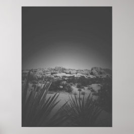 Vignette Black and White Joshua Träd Desert Scene Poster
