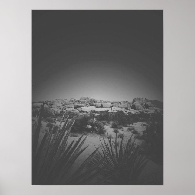 Vignette Black and White Joshua Träd Desert Scene Poster (Framsidan)