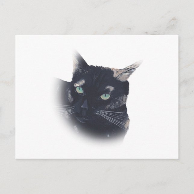 Vignette of Tortoise Snäcka Cat Ansikte Postcards Vykort (Framsida)