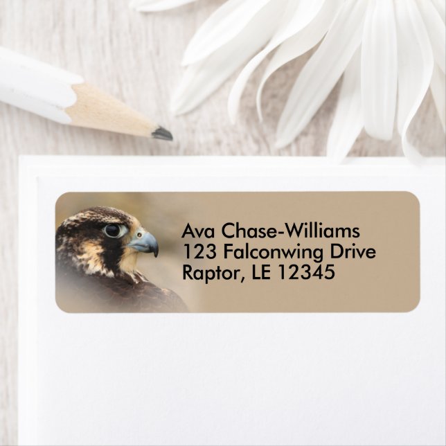 Vignetted Peregrine Falcon Bird of Be Returadress Etikett (Insitu)