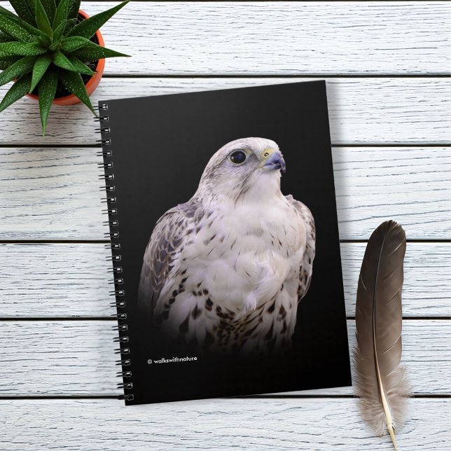 Vignetted Porträtt of an Inquisitive Saker Falcon Anteckningsbok (Vignette Profile of a Saker Falcon Journal Cover Photo)
