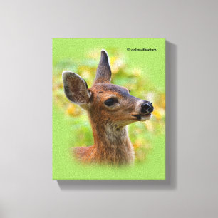 Vignetted Porträtt of Smiling Blacktail Hjort Fawn Canvastryck