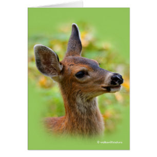 Vignetted Porträtt of Smiling Blacktail Hjort Fawn Hälsningskort