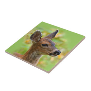 Vignetted Porträtt of Smiling Blacktail Hjort Fawn Kakelplatta