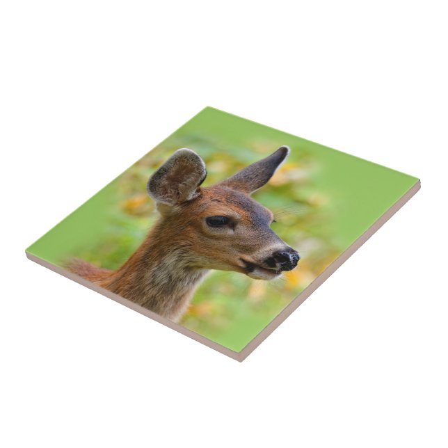 Vignetted Porträtt of Smiling Blacktail Hjort Fawn Kakelplatta (Sidan)